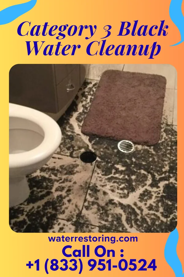 Category 3 Black Water Cleanup in Del City, OK